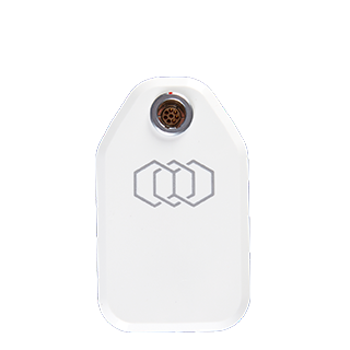 EvolveX Tite RF skin tightening in Newton MA